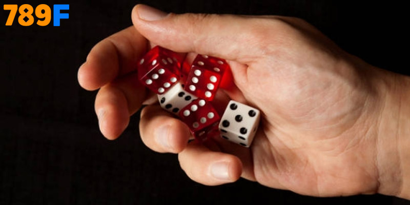 Sự khác biệt giữa hộp lắc kim loại và hộp nhựa khi âm thanh phát ra